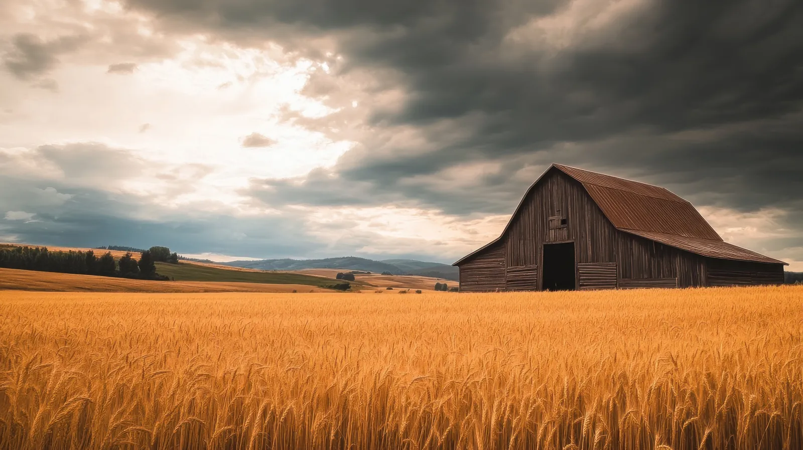 Construction and Pole Barn Builder in Pine Bluffs, WY